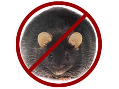 Controladora de Ratos em Alphaville